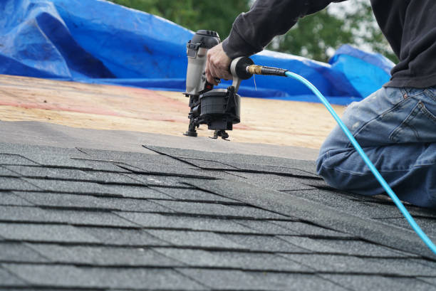 Best Roof Gutter Cleaning  in Greenback, TN