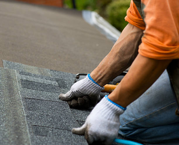 Best Storm Damage Roof Repair  in Greenback, TN